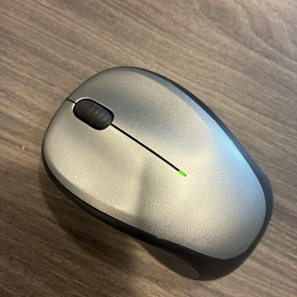 Logitech M317 Wireless Mouse 1K DPI Optical Tracking USB Receiver Light Steel